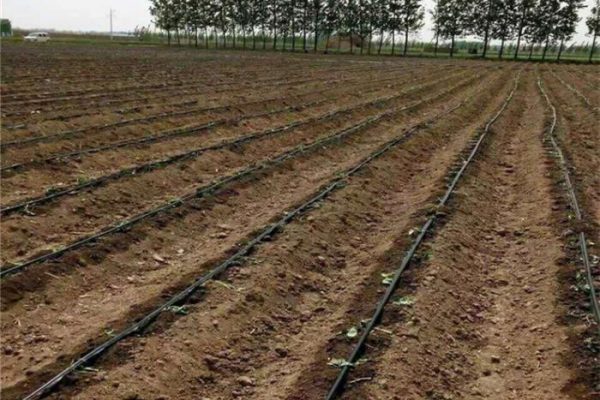 drip hose irrigation system for farm