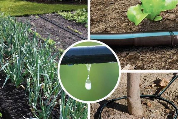 drip irrigation companies
