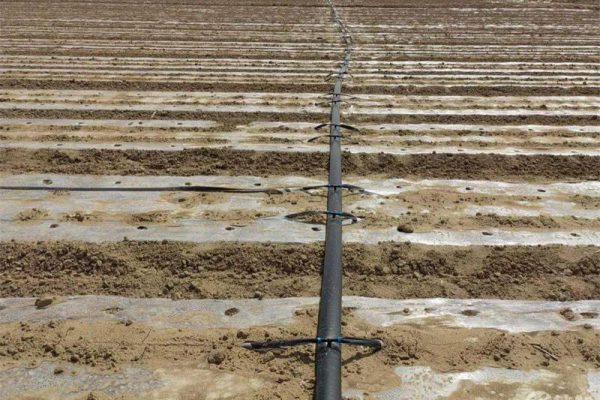 Subsurface Drip Irrigation System